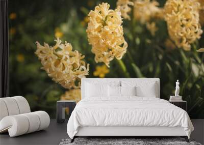 Hyacinthus orientalis Yellowstone Wall mural