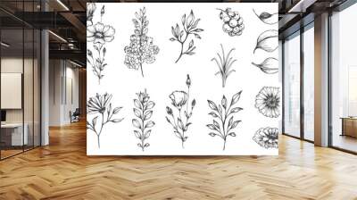 vector collection of hand drawn plants. botanical set of sketch flowers and branches Wall mural