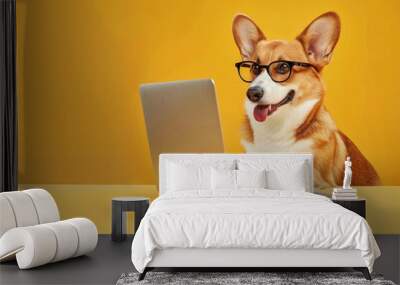 A happy corgi dog with glasses is working on a laptop at a desk on a yellow background. Wall mural