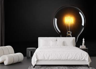 an electric light bulb shining on a black background and emitting a cozy light Wall mural