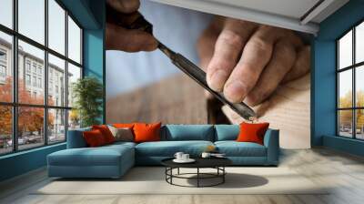 hands of a carpenter Wall mural