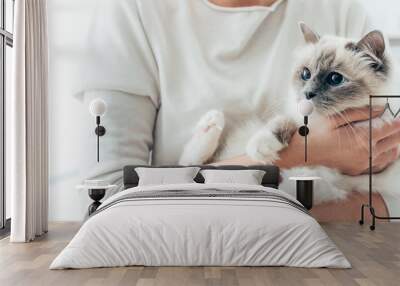 happy cat in her owner's arms Wall mural