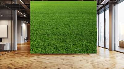 Lush green grass meadow background Wall mural