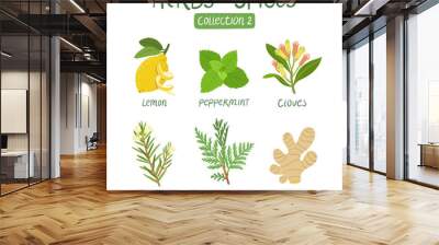 Herbs and spices collection 2 Wall mural