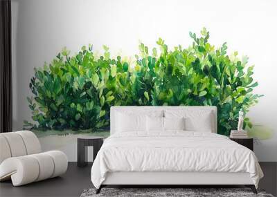 Watercolor depiction of a boxwood shrub, side profile on white, for garden designs Wall mural