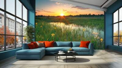 A beautiful May sunset landscape. Spring flooded water the field with wildflowers, yellow irises, in the sunshine under the beautiful sky with clouds. Wall mural