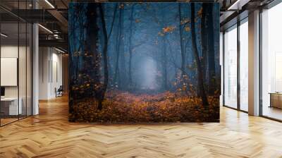 Beautiful, foggy, autumn, mysterious forest with pathway forward. Footpath among high trees with yellow leaves. Wall mural