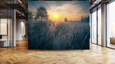 Gorgeous morning on a cold autumn high grass meadow with rime crystals. Frosty sunrise background. Hoarfrost on the high grass. Wall mural