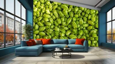 Green ripe hop cones for brewery and bakery background pattern. Wall mural