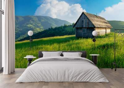 Majestic rural grassland in the Carpathian mountains. Ukraine. Rustic lonely wooden house on the green grass summer hill under the beautiful sky with cumulus clouds. Wall mural