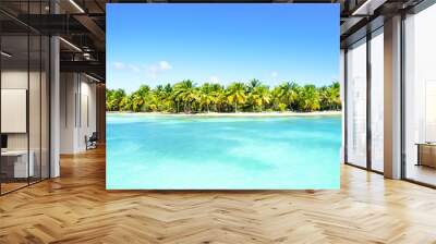 Amazing sandy beach with coconut palm trees and blue sky. Caribbean Sea coast Wall mural