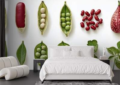 A collection of elegant legumes, including pods of peas, beans, and lentils, with some open to show their glossy, polished seeds inside, isolated on a white background Wall mural