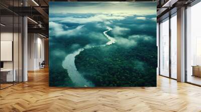 Aerial view of river in tropical green forest with mountains in background Wall mural