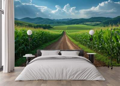 panoramic view of green field in the light of the evening sun Wall mural