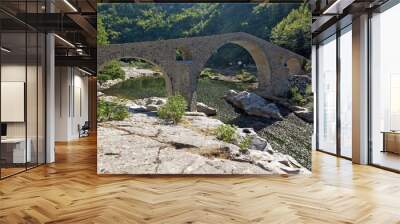 Amazing Reflection of Devil's Bridge in Arda river and Rhodopes mountain, Kardzhali Region, Bulgaria Wall mural