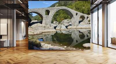 Amazing view of Devil's Bridge,  Rhodopes mountain and Arda river, Kardzhali Region, Bulgaria  Wall mural