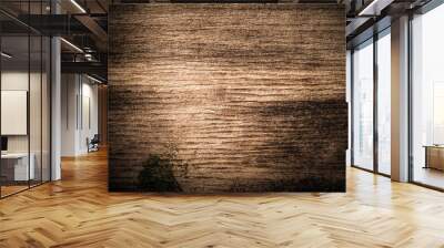 Surface of old textured wooden board for background. Toned Wall mural