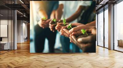 Plant, sustainability and environment with hands of business people for teamwork, earth and support. Collaboration, growth and diversity with employees and soil for future, partnership or community Wall mural