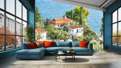 Houses with view to the sea in Horto village. Greece Wall mural