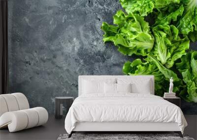 Fresh raw organic farm Lolo Rosso lettuce salad on grey rustic stone background top view, healthy green salad in balanced nutrition and cooking concept  Wall mural