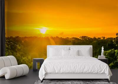 sunset over the trees in the brazilian rainforest of Amazonas Wall mural