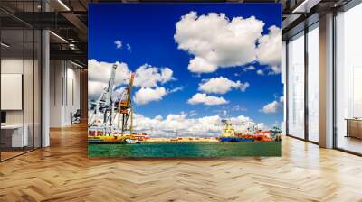 View on Cargo cranes in port of Antwerp in Belgium Wall mural