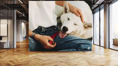 Woman petting relaxed dog Wall mural