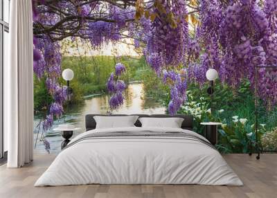 Beautiful spring landscape with blooming purple wisteria under a quiet river on sunset Wall mural