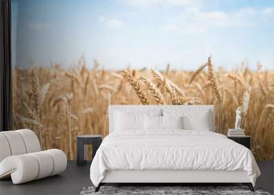 Beautiful summer field of ripe wheats on sunny day. Selective focus Wall mural