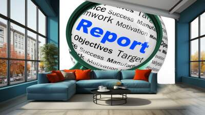 Report Magnifier Definition Shows Progress Statistics And Financ Wall mural