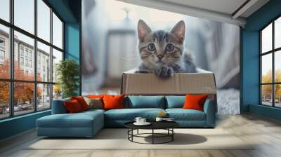 Grey tabby cat enjoying a cardboard box on the floor. Wall mural