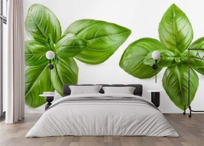 Basil leaf isolated on white. Generative Image Wall mural