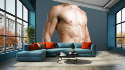 Handsome guy torso Wall mural