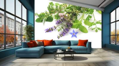 Aromatic fresh herbs Wall mural