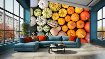 Colorful pumpkins and squashes collection. Autumn background. Wall mural