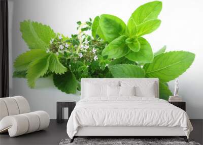 Green herbs Wall mural