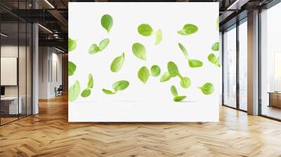 Fresh green leaves floating on a white background Generative AI Wall mural