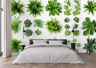 Top view of various green plants and succulents, Generative AI Wall mural