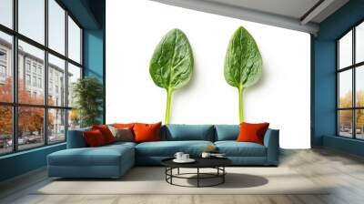 Two fresh spinach leaves on white background Generative AI Wall mural