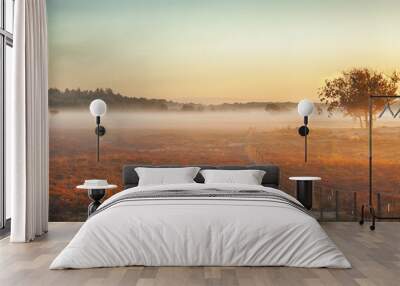 beautiful sunrise with low hanging fog in a dutch landscape with flowering heather. shot against a c Wall mural