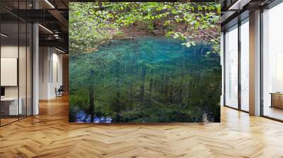 Reflections of the trees in blue lake in national park of Romania and a branch in the foreground. Wall mural