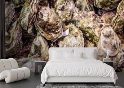 fresh oysters with algae for fresh natural seafood for holidays Wall mural