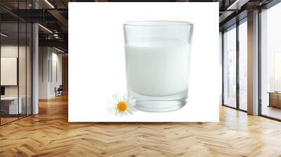 Glass of milk and daisies Wall mural