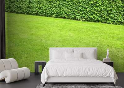 Green lawn and hedge Wall mural