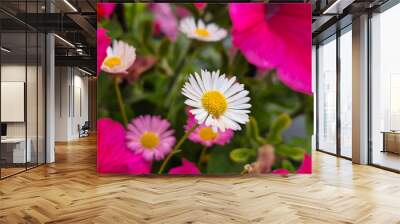 Flowers close view background, romantic gift Wall mural