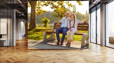  Seniors rest outdoors. Beautiful stylish elderly couple in love is sitting on bench in city park on warm summer evening. Mature Caucasian family on walk. Concept of long and happy love and marriage.  Wall mural