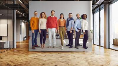 Diverse people group of different ages, race ethnicity nationality stand in line posing for camera. Professional business team workers staff. Office studio full body shot. Gender and racial equality Wall mural