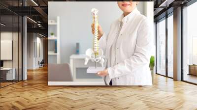 Doctor at orthopedic clinic showing anatomical spine model. Cropped shot of happy woman in white lab coat holding model of human backbone. Medicine, posture, bone health concept. Medical background Wall mural