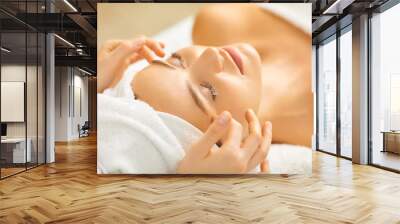 Facial massage to a beautiful girl in a beauty clinic. Wall mural