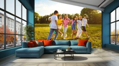 Group of a playful kids friends playing active outdoor games on a green grass in the summer park. Happy children having fun outside on a sunny day in the camp. Summer holiday concept. Wall mural